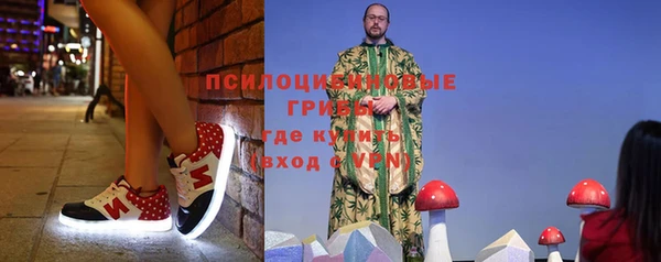мдпв Липки