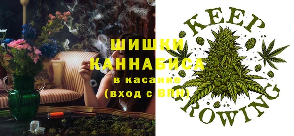ешки Арсеньев