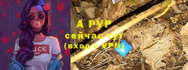 ешки Арсеньев