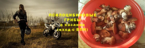 ешки Арсеньев