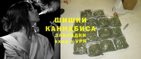 ешки Арсеньев