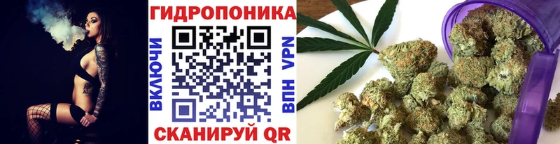 закладка  Краснодар  Каннабис гибрид 